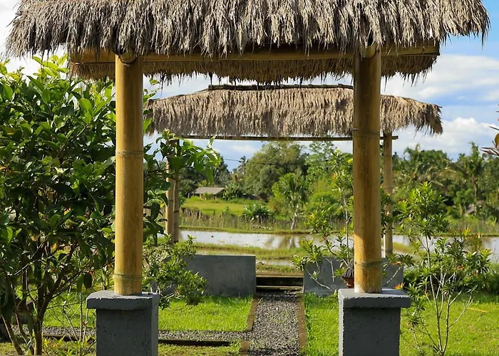 Bee Camp By Agata Bedugul (Bali)
